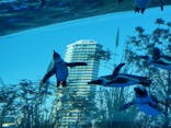サンシャイン水族館に投稿された画像（2020/11/11）