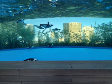 サンシャイン水族館に投稿された画像（2020/11/11）