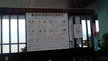 徳島県立 渦の道に投稿された画像（2020/11/11）