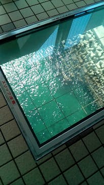 徳島県立 渦の道に投稿された画像（2020/11/11）