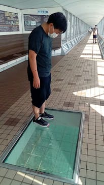 徳島県立 渦の道に投稿された画像（2020/11/11）