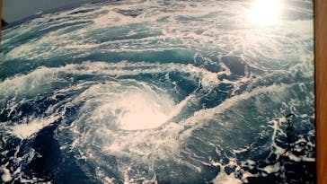 徳島県立 渦の道に投稿された画像（2020/11/11）