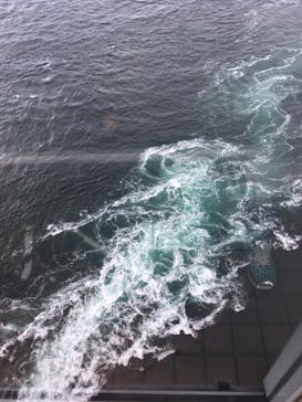 徳島県立 渦の道に投稿された画像（2020/11/11）