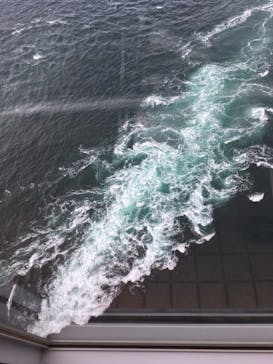 徳島県立 渦の道に投稿された画像（2020/11/11）