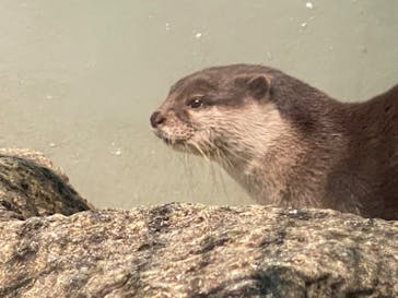 サンシャイン水族館に投稿された画像（2020/11/11）