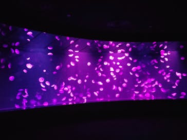 サンシャイン水族館に投稿された画像（2020/11/11）