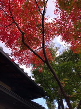 箱根美術館に投稿された画像（2020/11/11）