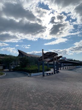 島根県立 しまね海洋館に投稿された画像（2020/11/11）