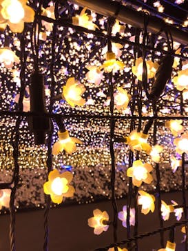 東京メガイルミに投稿された画像（2020/11/11）