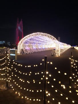 東京メガイルミに投稿された画像（2020/11/11）