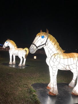 東京メガイルミに投稿された画像（2020/11/11）