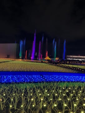 東京メガイルミに投稿された画像（2020/11/11）