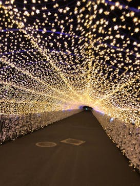 東京メガイルミに投稿された画像（2020/11/11）