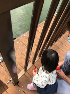 沖縄こどもの国に投稿された画像（2020/11/11）