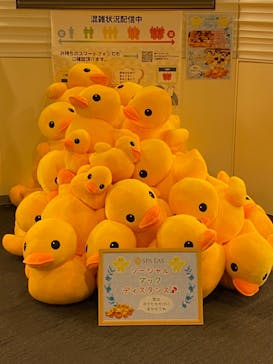 横浜天然温泉 SPA EASに投稿された画像（2020/11/11）