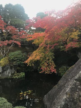 箱根美術館に投稿された画像（2020/11/11）