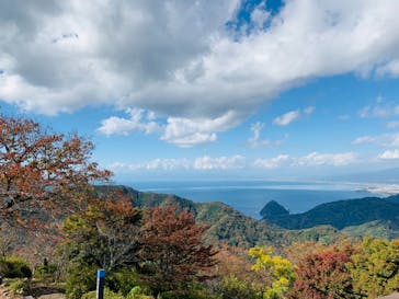 伊豆パノラマパークに投稿された画像（2020/11/12）