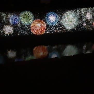 二条城×ネイキッド 二条城夏まつり2021に投稿された画像（2020/8/20）