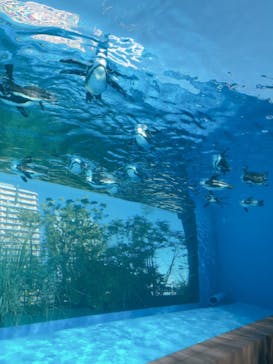 サンシャイン水族館に投稿された画像（2020/11/12）