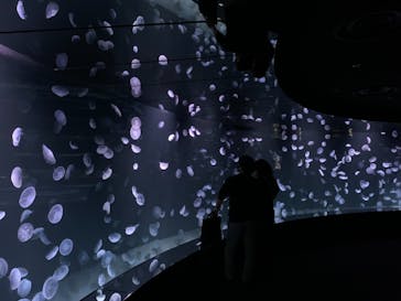 サンシャイン水族館に投稿された画像（2020/11/12）