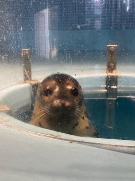 下田海中水族館に投稿された画像（2020/11/12）