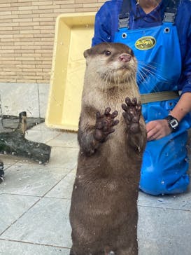 下田海中水族館に投稿された画像（2020/11/12）
