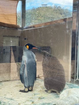 下田海中水族館に投稿された画像（2020/11/12）