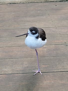 那須どうぶつ王国に投稿された画像（2020/11/12）