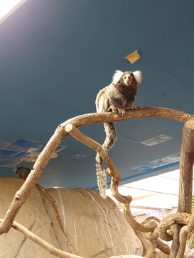 那須どうぶつ王国に投稿された画像（2020/11/12）