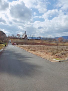 牧歌の里に投稿された画像（2020/11/12）