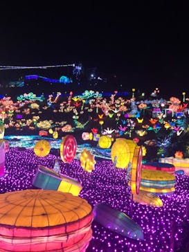 伊豆ぐらんぱる公園に投稿された画像（2020/11/12）