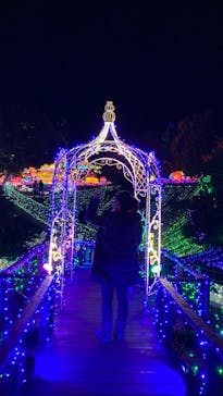 伊豆ぐらんぱる公園に投稿された画像（2020/11/12）