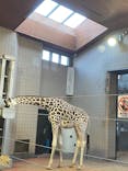 天王寺動物園に投稿された画像（2020/11/12）
