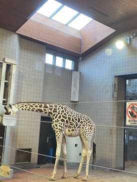 天王寺動物園に投稿された画像（2020/11/12）
