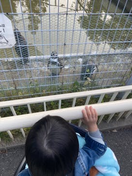 天王寺動物園に投稿された画像（2020/11/12）