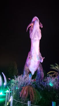 伊豆ぐらんぱる公園に投稿された画像（2020/11/12）