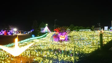 伊豆ぐらんぱる公園に投稿された画像（2020/11/12）