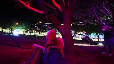 伊豆ぐらんぱる公園に投稿された画像（2020/11/12）