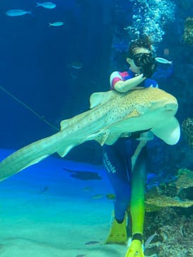 サンシャイン水族館に投稿された画像（2020/11/12）