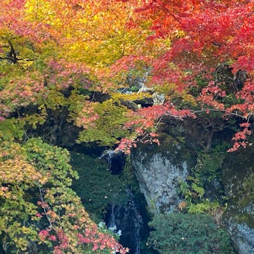 箱根美術館に投稿された画像（2020/11/12）