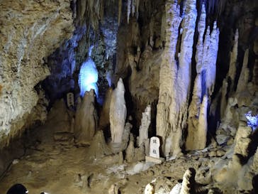 おきなわワールドに投稿された画像（2020/11/12）