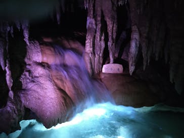 おきなわワールドに投稿された画像（2020/11/12）