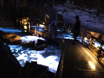 おきなわワールドに投稿された画像（2020/11/12）