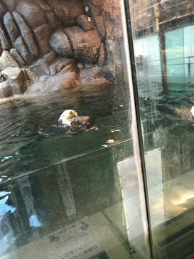 株式会社Gに投稿された画像（2020/11/12）