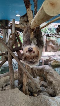 那須どうぶつ王国に投稿された画像（2020/11/12）