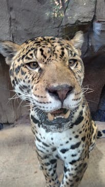 那須どうぶつ王国に投稿された画像（2020/11/12）