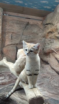 那須どうぶつ王国に投稿された画像（2020/11/12）