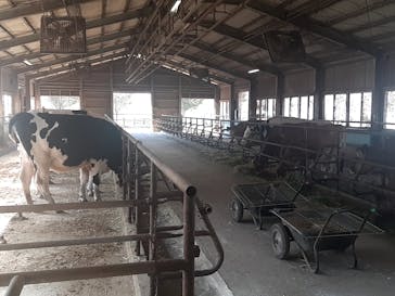 成田ゆめ牧場に投稿された画像（2020/11/13）