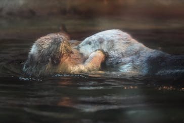 株式会社Gに投稿された画像（2020/11/13）