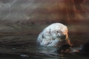 株式会社Gに投稿された画像（2020/11/13）